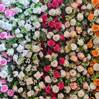 untitled design (19)