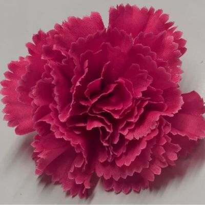 pink carnation