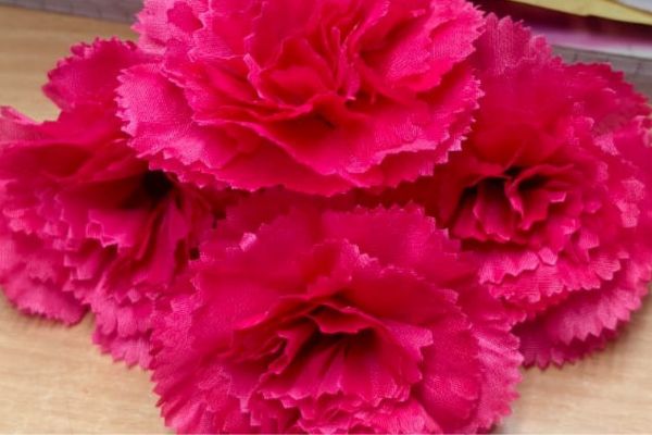 untitled design (24)