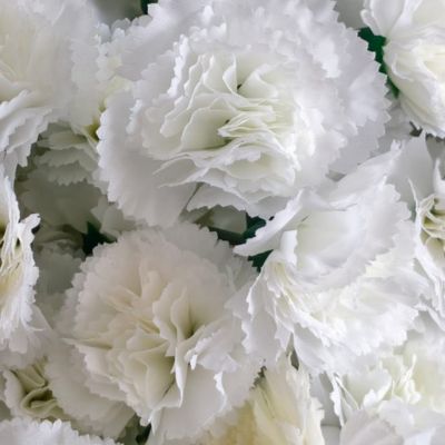 untitled design (25)