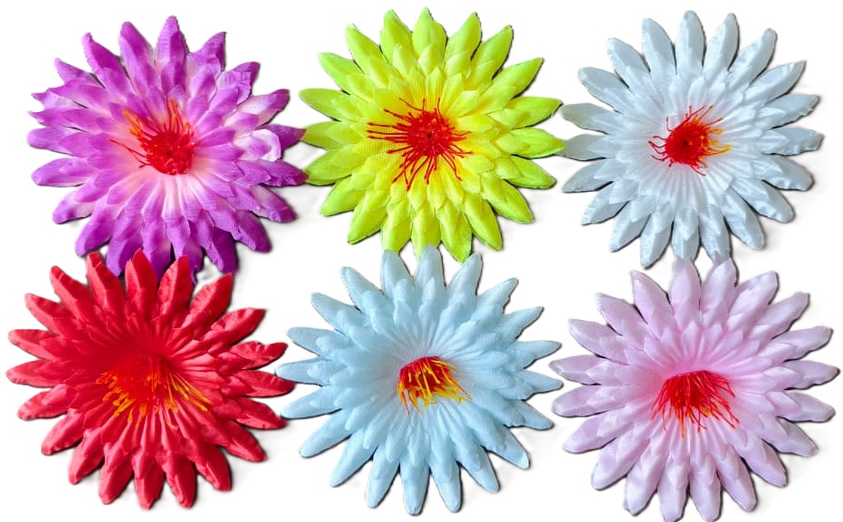 jarbera with 6 color no background